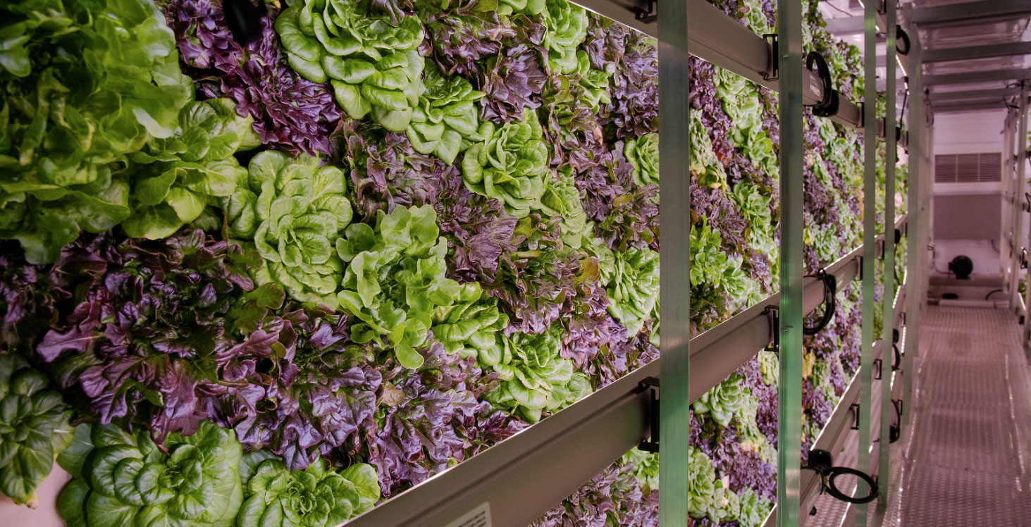Dockery's | Local Company Partners With Dockery's To Offer True 'Farm-To-Table' Experience