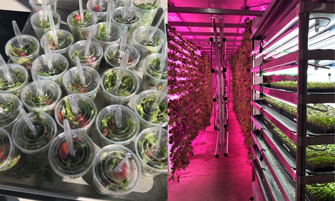 Dockery's | Why you should eat Dockery's shipping container-grown greens