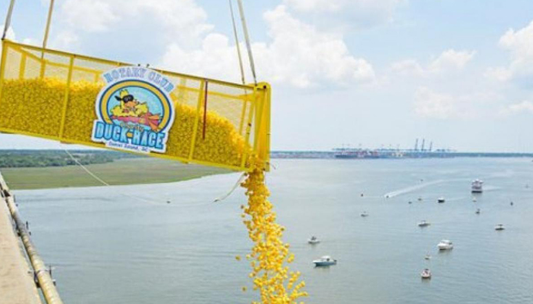 Daniel Island Rotary Duck Race